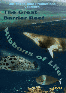 DVD cover with pictures of the Great Barrier Reef from the air, a Minke whale, a giant potato cod, and a unicornfish 