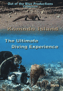 DVD cover with Komodo dragon and Pat Stayer with cuttlefish
