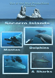 Socorro Islands DVD Cover