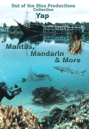cover Yap Mantas, Mandarin, & More